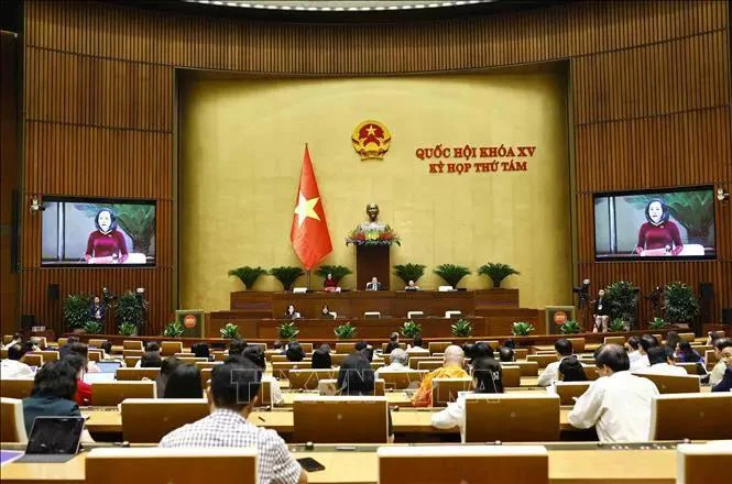 National Assembly Vice Chairwoman Nguyen Thi Thanh chairs the 15th National Assembly's eighth session (Photo: VNA)