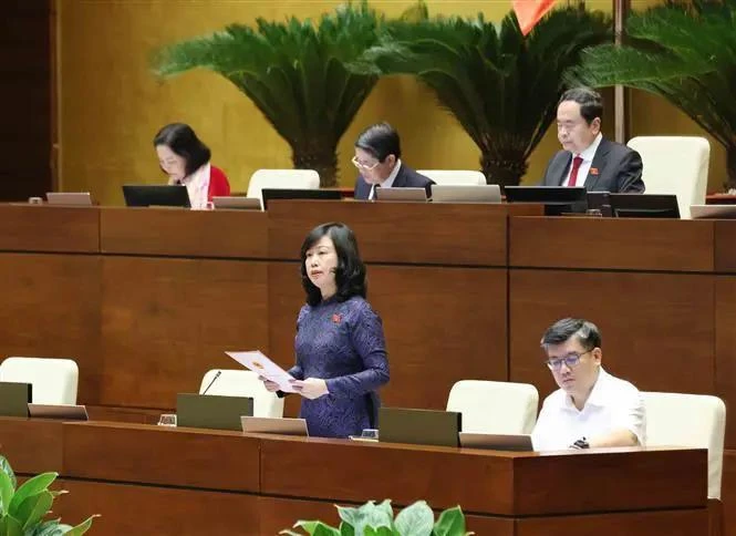 Minister of Health Dao Hong Lan clears up questions on issues related to the health sector (Photo: VNA)