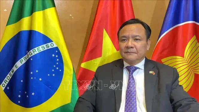 Vietnamese Ambassador to Brazil Bui Van Nghi. (Photo: VNA)