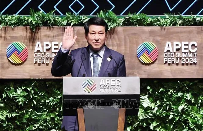 State President Luong Cuong addressing APEC CEO Summit 2024 (Photo: VNA)