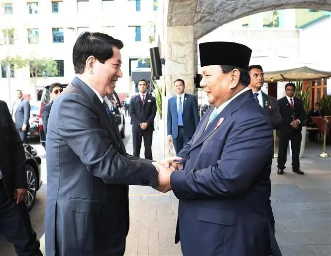 State President Luong Cuong (L) shakes hands with Indonesian counterpart Prabowo Subianto (Photo: VNA)