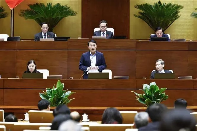 Minister of Public Security, General Luong Tam Quang (standing), delivers his report at the National Assembly's eighth session on November 26 (Photo: VNA)