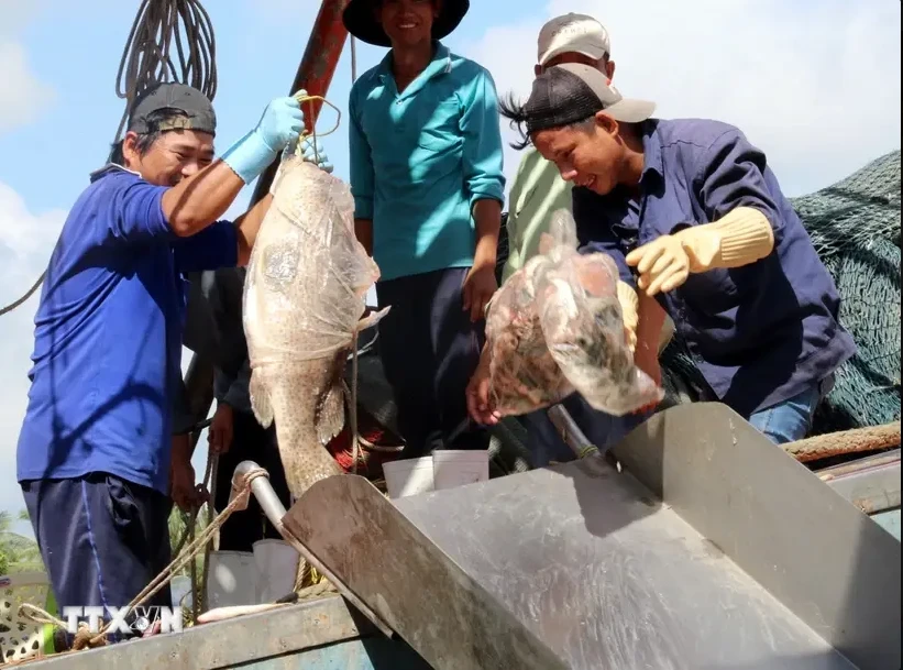 Fishermen in the southern province of Kien Giang. (Photo: VNA)