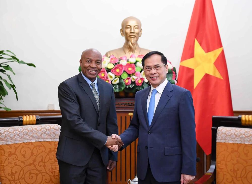 Deputy Prime Minister and Foreign Minister Bui Thanh Son (R) receives Tanzania's Deputy Minister of Foreign Affairs and East African Cooperation Cosato David Chumi in Hanoi on December 3. (Photo: VNA)