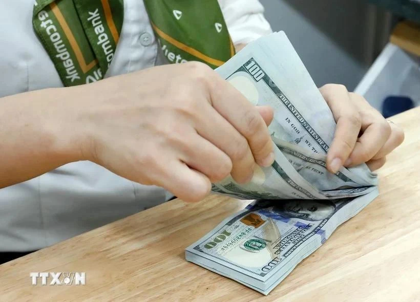 State Bank of Vietnam sets daily reference exchange rate for the US dollar at 24,260 VND/USD on December 3 (Photo: VNA)