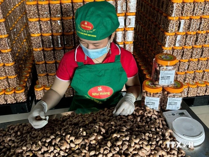 A worker packs salted roasted cashew products at an establishment in Tho Son commune, Bu Dang district, Binh Phuoc province. (Photo: VNA)