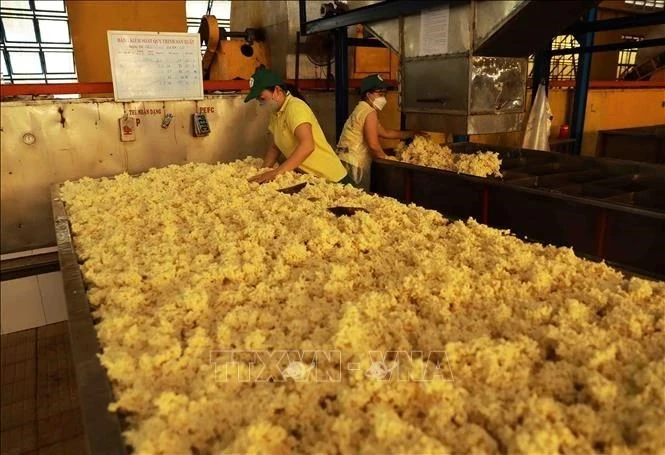 Rubber processing at a factory of Phu Rieng company. (Photo: VNA)