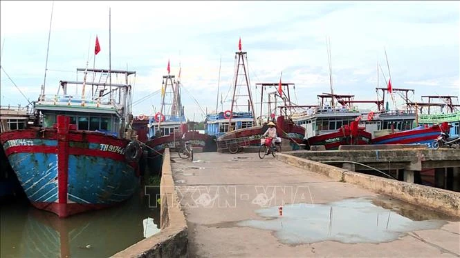 Fishing boats at Lach Hoi fishing port, Quang Tien ward, Sam Son city, Thanh Hoa province. (Photo: VNA)