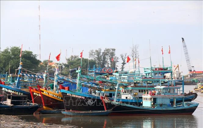 Fishing vessels dock at an estuary (Photo: VNA)