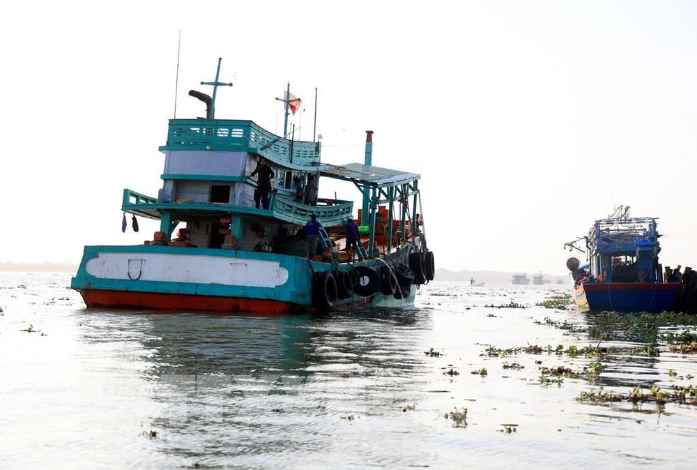 Fishing vessels operate in an estuary of An Bien district, Kien Giang province. (Photo: VNA)