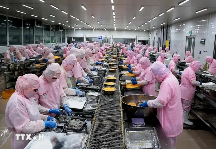 Una línea de procesamiento de camarones para exportación (Foto: VNA)