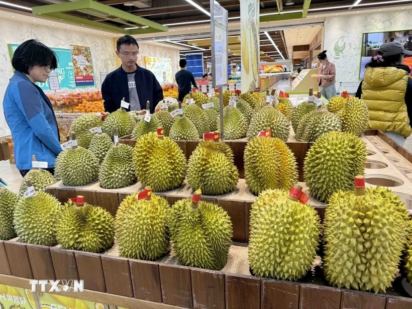 Venta de durian en el supermercado Guo Shuhao, Beijing. (Foto: VNA)