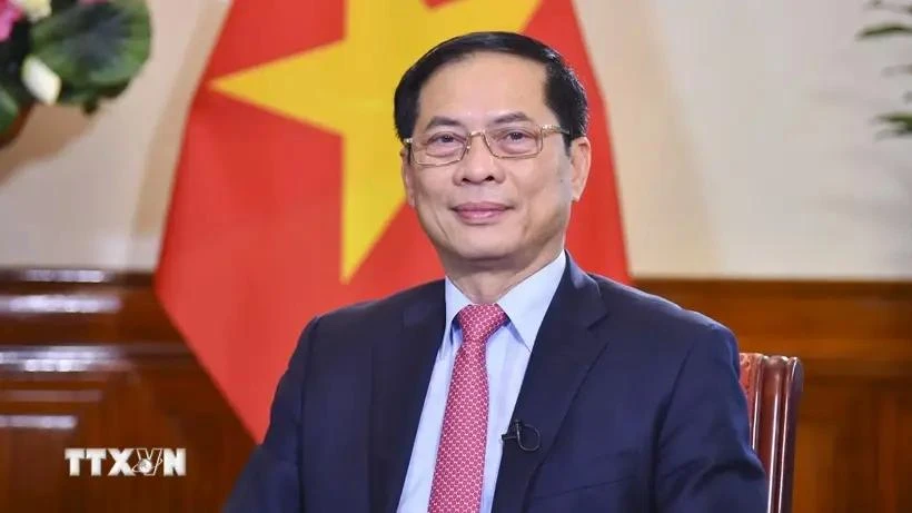 El viceprimer ministro y titular de Relaciones Exteriores de Vietnam, Bui Thanh Son (Foto: VNA)