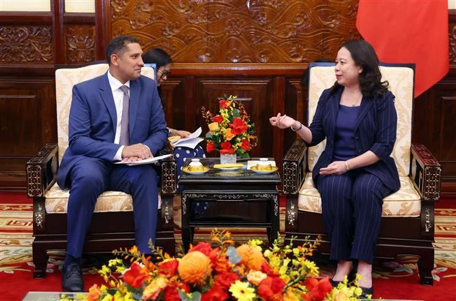 La vicepresidenta vietnamita Vo Thi Anh Xuan recibe al embajador sueco, Johan Ndisi (Foto: VNA)