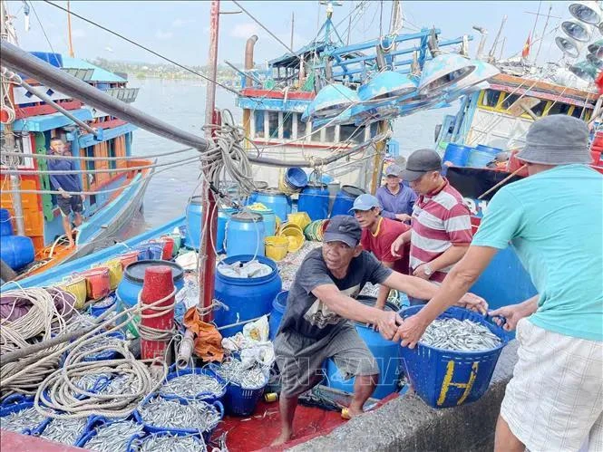 Barcos pesqueros en el puerto Tinh Ky, provincia de Quang Ngai (Foto: VNA)