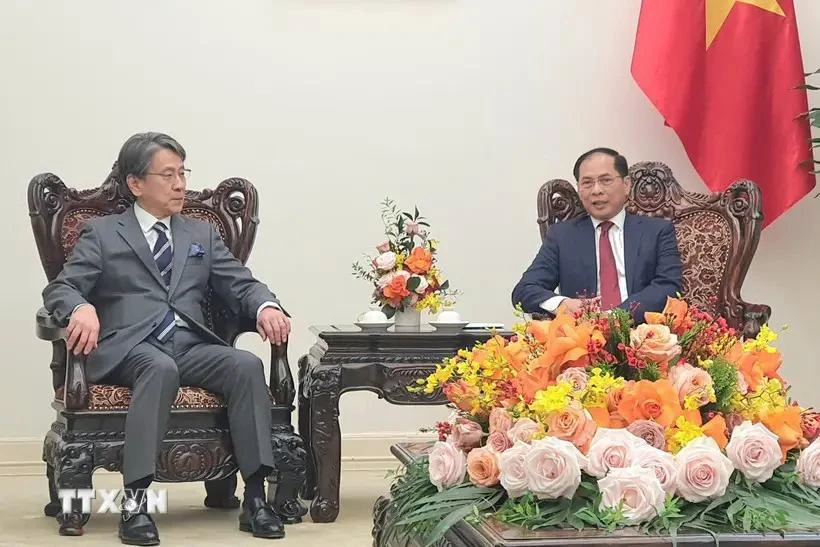 El vicepremier y canciller vietnamita, Bui Thanh Son (derecha), recibe al presidente de la Junta Directiva del JBIC, Maeda Tadashi. (Foto: VNA)