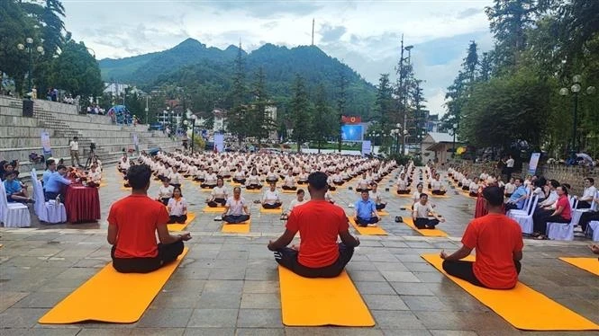 Un spectacle de yoga de masse lors de l'événement (Photo : VNA)