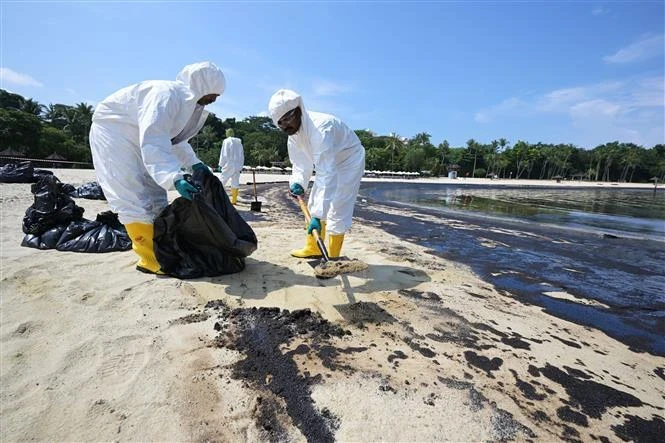 Des ouvriers nettoient la marée noire sur la plage de Tanjong, sur l'île de Sentosa, à Singapour, le 16 juin 2024. (Photo : Xinhua/VNA)