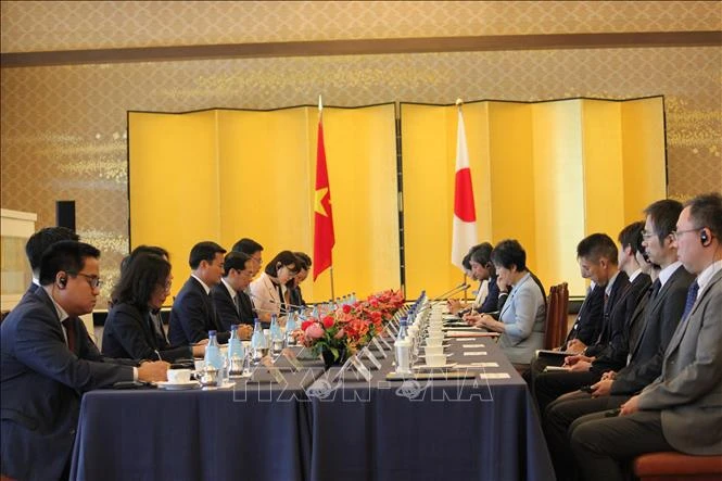 Lors de la réunion du Comité de coopération Vietnam-Japon. Photo : VNA