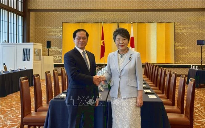 Le ministre vietnamien des Affaires étrangères Bui Thanh Son (gauche) et son homologue japonaise Kamikawa Yoko. Photo : VNA