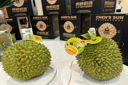 Le durian, un nouvel espoir pour les exportations malaisiennes