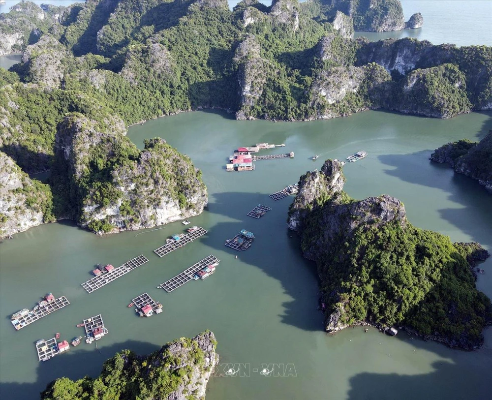 Le village de pêcheurs de Vung Vieng captive les touristes étrangers