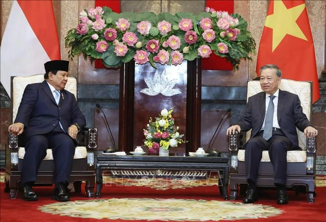 Le secrétaire général du Parti communiste et président du Vietnam, To Lam (droite) et le président élu de l'Indonésie, Prabowo Subianto, en visite de travail au Vietnam. Photo : VNA