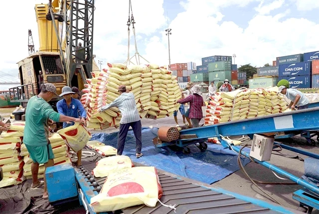 Le Vietnam exporte 6,16 millions de tonnes de riz au cours des huit premiers mois de cette année. Photo : VNA 