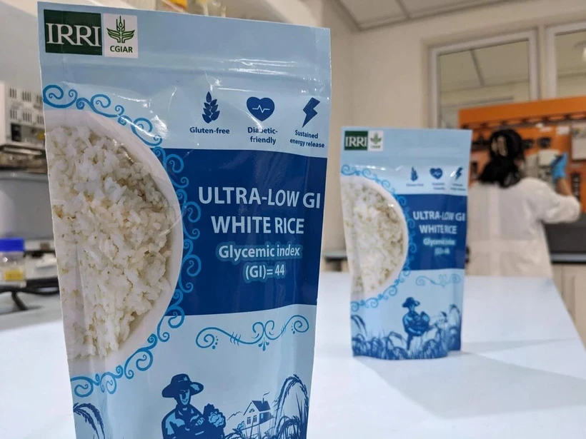 Une nouvelle variété de riz antidiabétique dévoilée (Photo : irri.org)