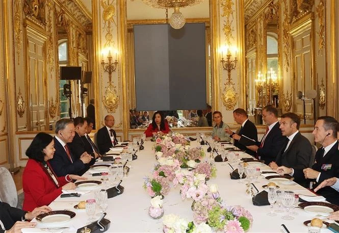 Lors de l'entretien entre le secrétaire général du Parti communiste du Vietnam et président de la République, Tô Lâm et le président français Emmanuel Macron. Photo : VNA