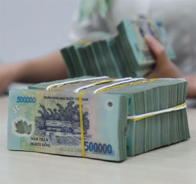 Selon les dernières données de la Banque d'État du Vietnam (SBV), à la fin du mois de juin 2024, le capital des banques privées était le double de celui des banques publiques. Photo : VNA