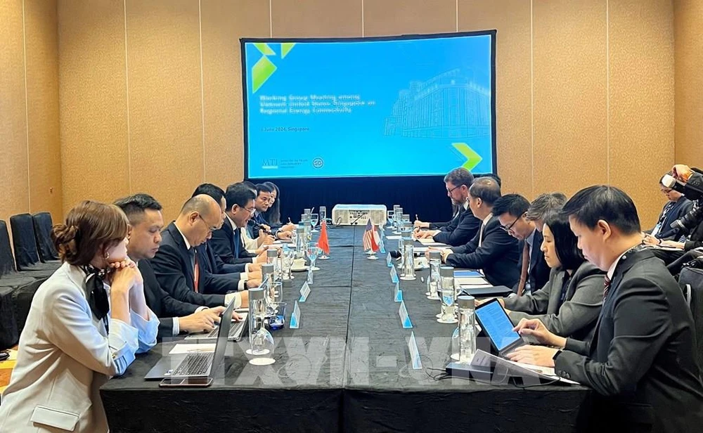 越南、新加坡和美国召开会议，就成立海外电力出口三方工作组进行讨论。图自越通社