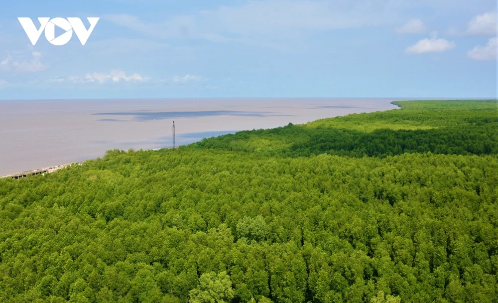 金瓯省依托森林实现可持续发展。图自互联网