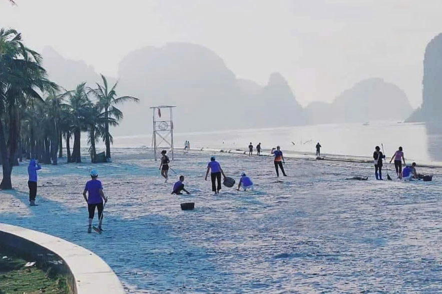 广宁省下龙市人民清理海滩上的垃圾。图自互联网