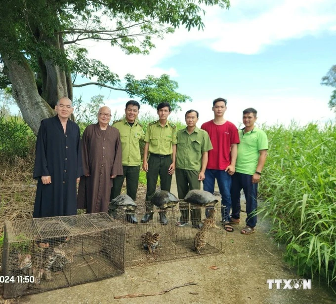 Neuf animaux sauvages relâchés dans la nature au Parc national d'U Minh Ha. Photo: VNA