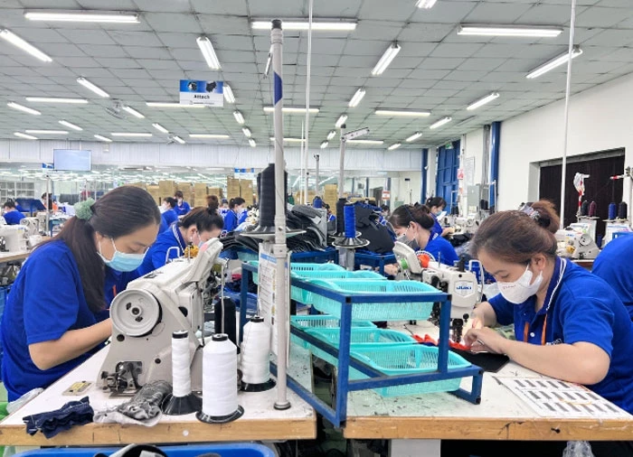 Les travailleurs de la Sarl international Tri-Viet avec un capital 100% japonais situé dans la zone industriel Tra Noc II - Ville de Can Tho. Photo: qdnd