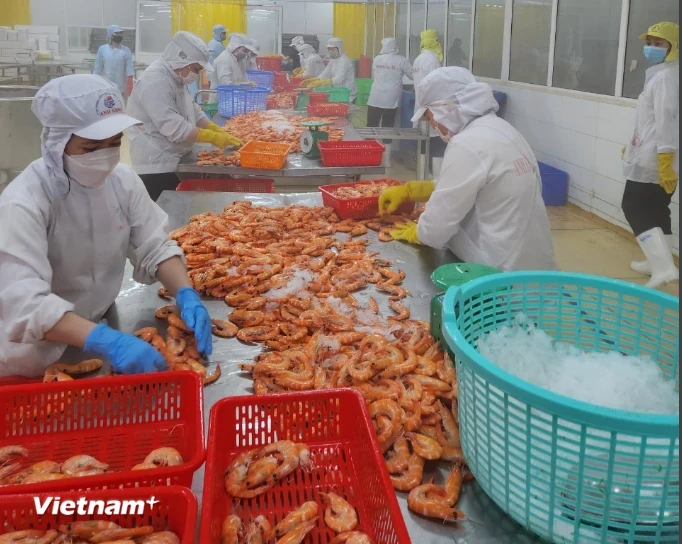 L’UOB maintient ses prévisions de croissance économique du Vietnam à 6%. Photo: VietnamPlus