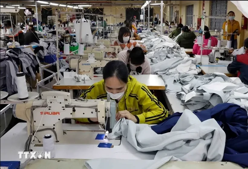 Des ouvriers fabriquent des vêtements destinés à l'exportation dans une entreprise de la province de Ha Nam, au Nord du pays. Photo : VNA