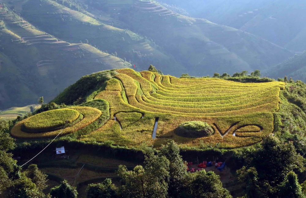 De nombreux ménages de l'ethnie Mong ont créé des motifs sur les rizières pour attirer les touristes. Photo: VNA