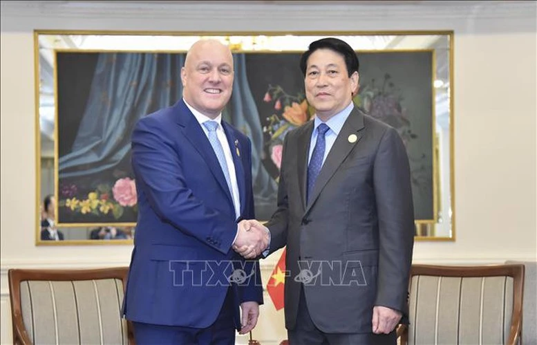 Le président Luong Cuong (droite) et le Premier ministre néo-zélandais. Photo: VNA