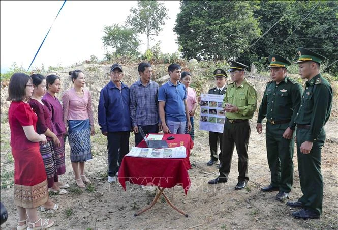 Les gardes-frontières de la province de Dien Bien (Nord), en collaboration avec le service provincial de l'Agriculture et du Développement rural et le Comité populaire du district de Dien Bien, ont lancé le 18 novembre dans la commune de Pa Thom, district de Dien Bien, province éponyme, un mouvement sur la prévention et la lutte contre des incendies de forêt. Photo: VNA