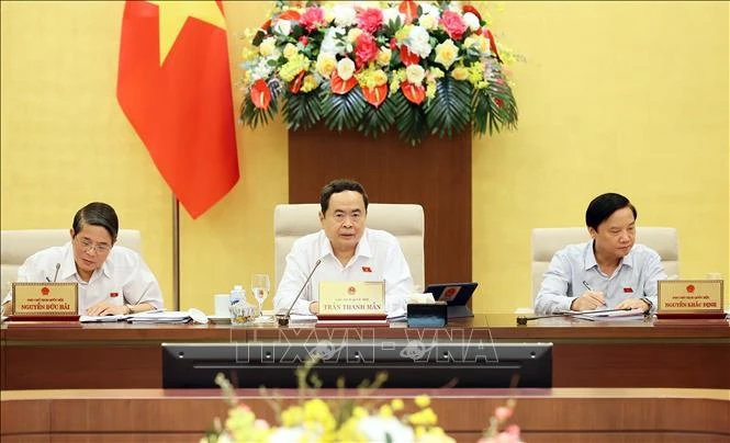 国会主席陈青敏在会议上发言。图自越通社