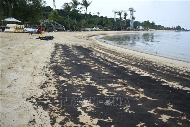 新加坡圣淘沙岛的海滩因漏油事件而关闭。图自越通社