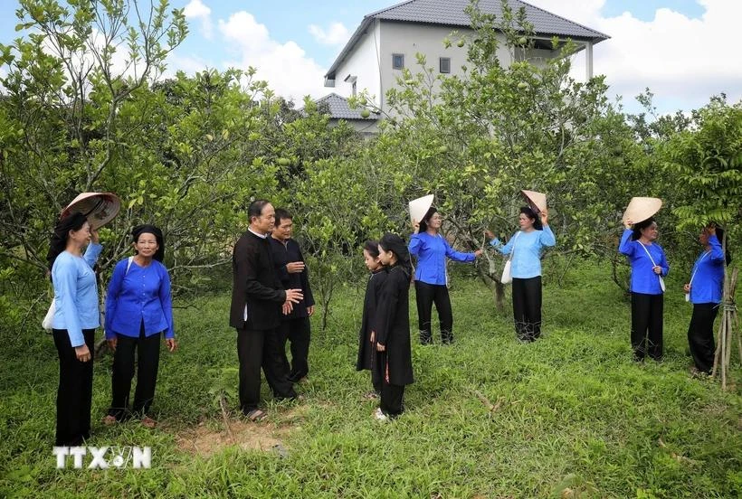 Meritorious artist Lam Minh Sap (right) and members of the San Chi folk song club practice singing San Chi folk songs. (Photo: VNA)