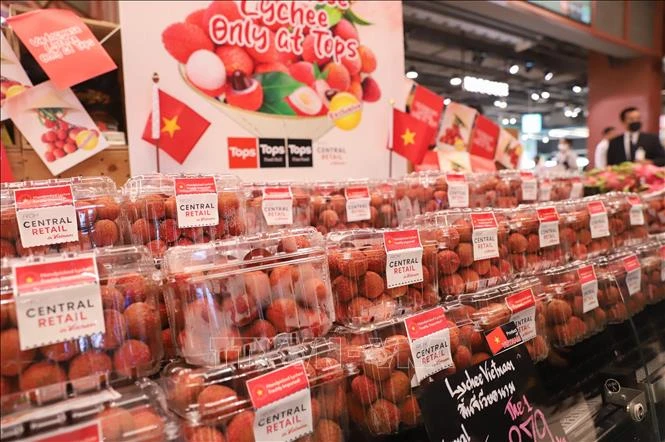 Vietnamese lychee is sold at at Central World shopping center in Bangkok, Thailand. (Photo: VNA) 