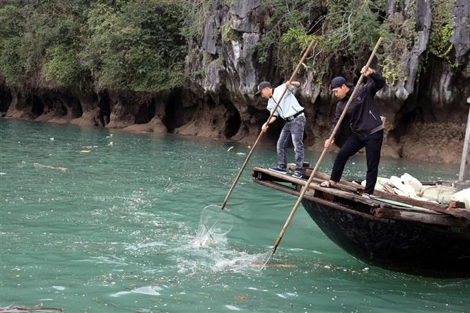 Collecting waste on Ha Long Bay, Quang Ninh province. (Photo: VNA) 