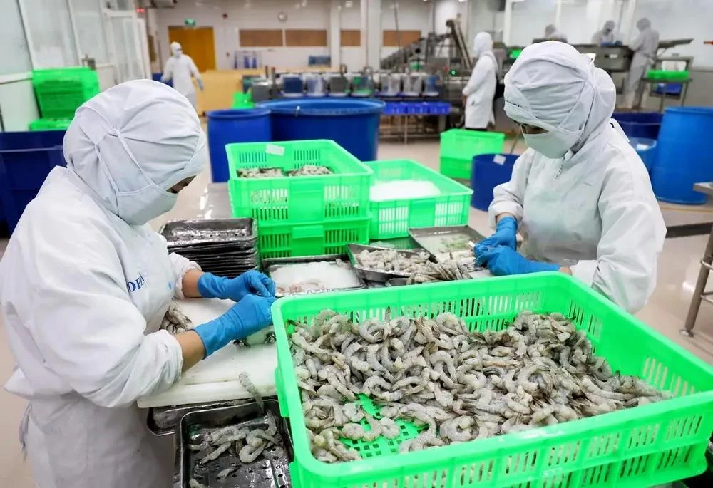 Workers process shrimp for export at Duyen Hai Economic Development Company in Ho Chi Minh City. (Photo: VNA)