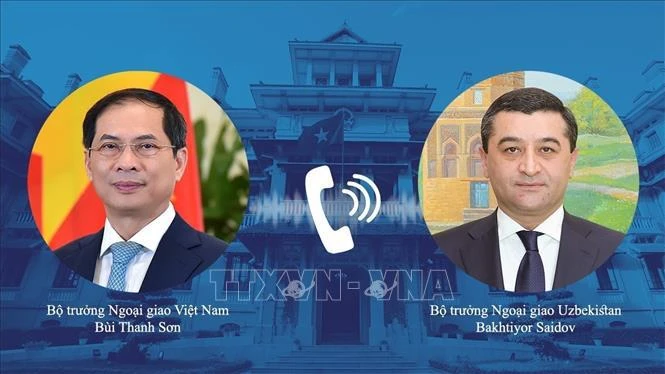 Vietnamese Minister of Foreign Affairs Bui Thanh Son (L) holds phone talks with his Uzbekistani counterpart Bakhtiyor Saidov. (Photo: VNA)