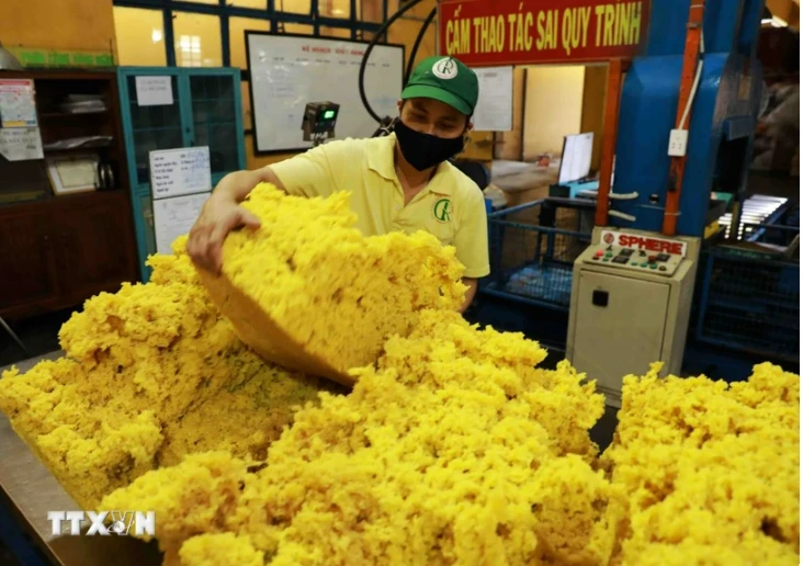 Processing rubber for export at Phu Rieng Company's factory. (Photo: VNA)