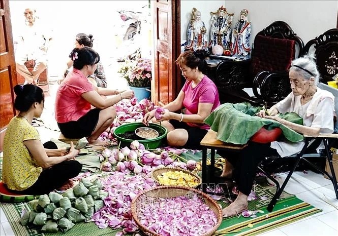 The traditional craft of making lotus-scented tea in Quang An ward, Tay Ho district becomes a symbol of Hanoi's culinary culture. (Photo: VNA)